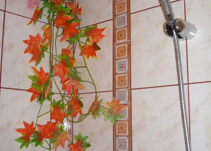 Guest house Katty 2*