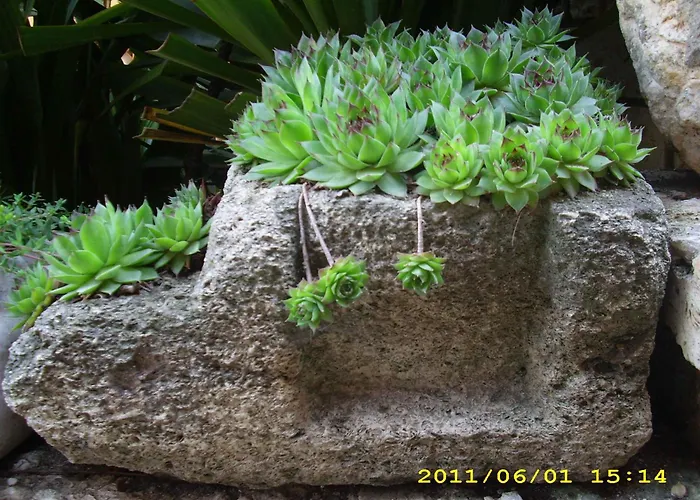 Katty Guest house Balchik